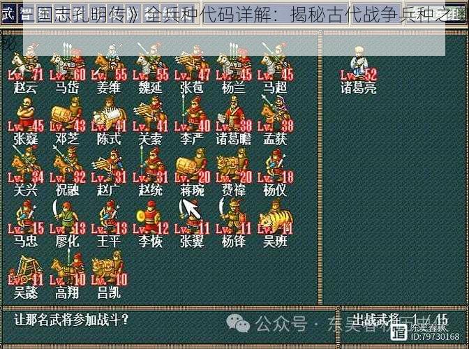 《三国志孔明传》全兵种代码详解:揭秘古代战争兵种之奥秘