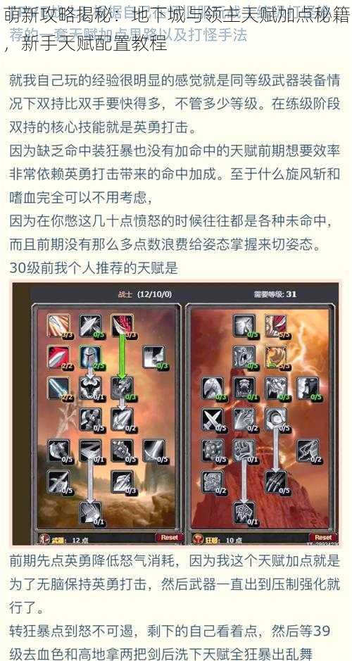 萌新攻略揭秘:地下城与领主天赋加点秘籍,新手天赋配置教程